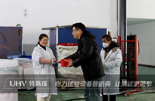 開業大吉！特高壓電力開啟全新征程(圖2)